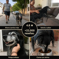 Dog Multivitamin Chews