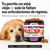 Dog Multivitamin Chews