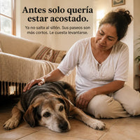 Dog Multivitamin Chews