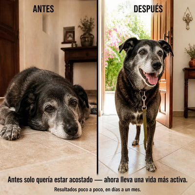 Dog Multivitamin Chews