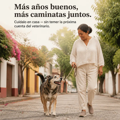 Dog Multivitamin Chews