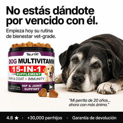 Dog Multivitamin Chews